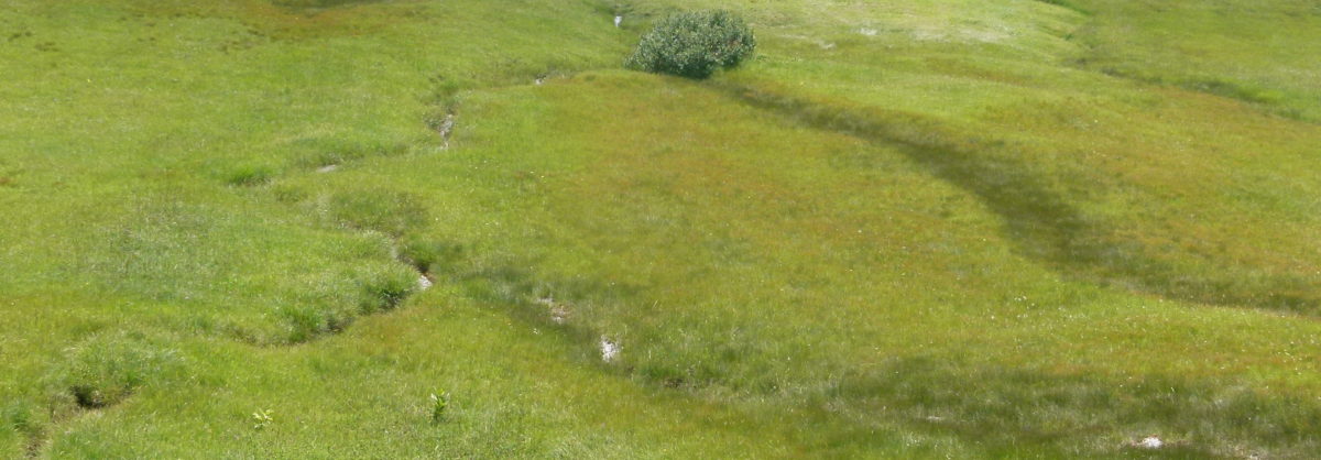 Gewässerraumausscheidung Cazis, Phase 1 abgeschlossen